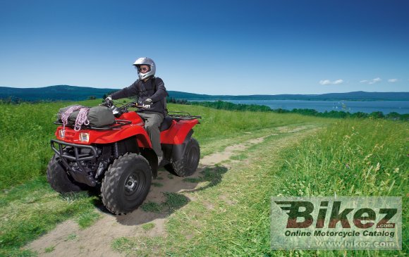 2009 Kawasaki KVF 360 4x4 photo